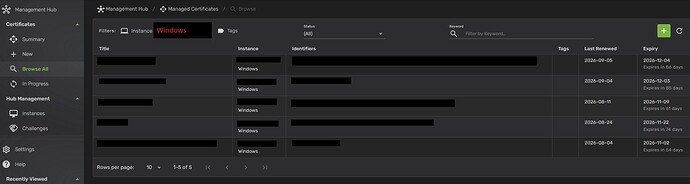 WindowsInstance